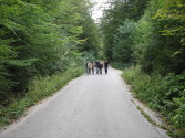 Pjohtaja.